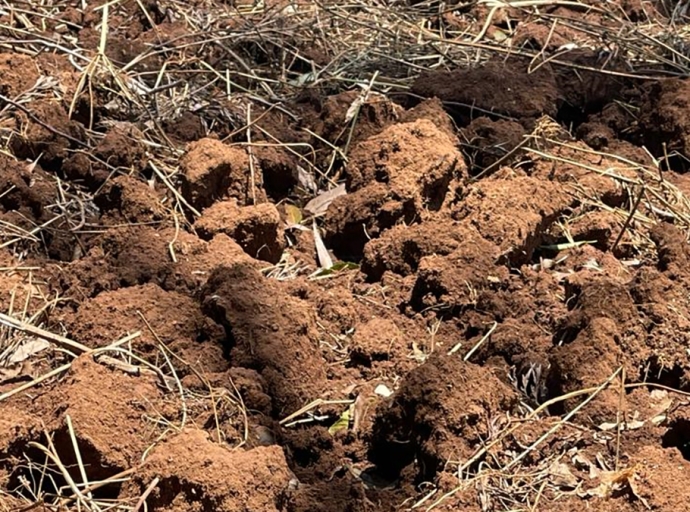 Africa’s Soil has been kidnapped by Chemicals and Corruption